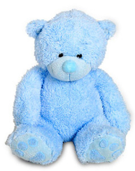 Blue Teddy Medium